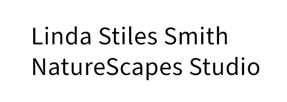NatureScapes Studio logo