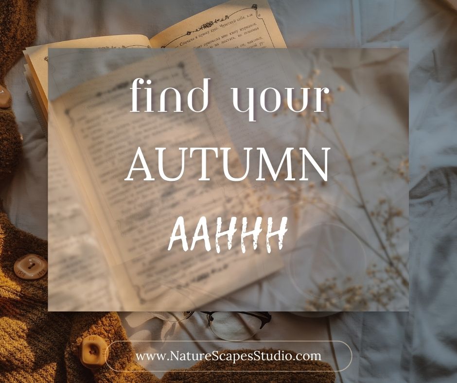 Autumn relaxation tips